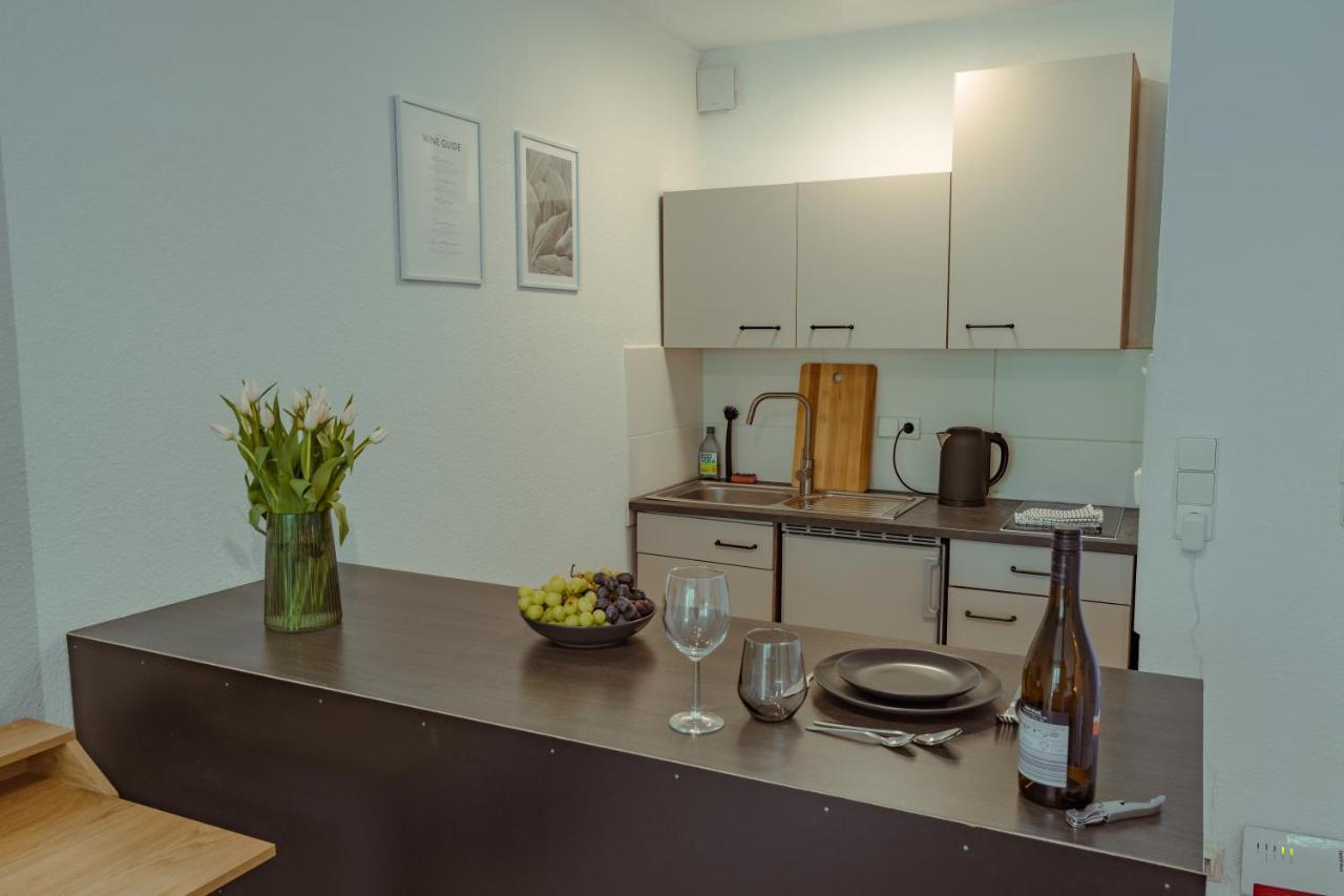 Studio Apartment Mit Parkplatz Oberesslingen Εξωτερικό φωτογραφία